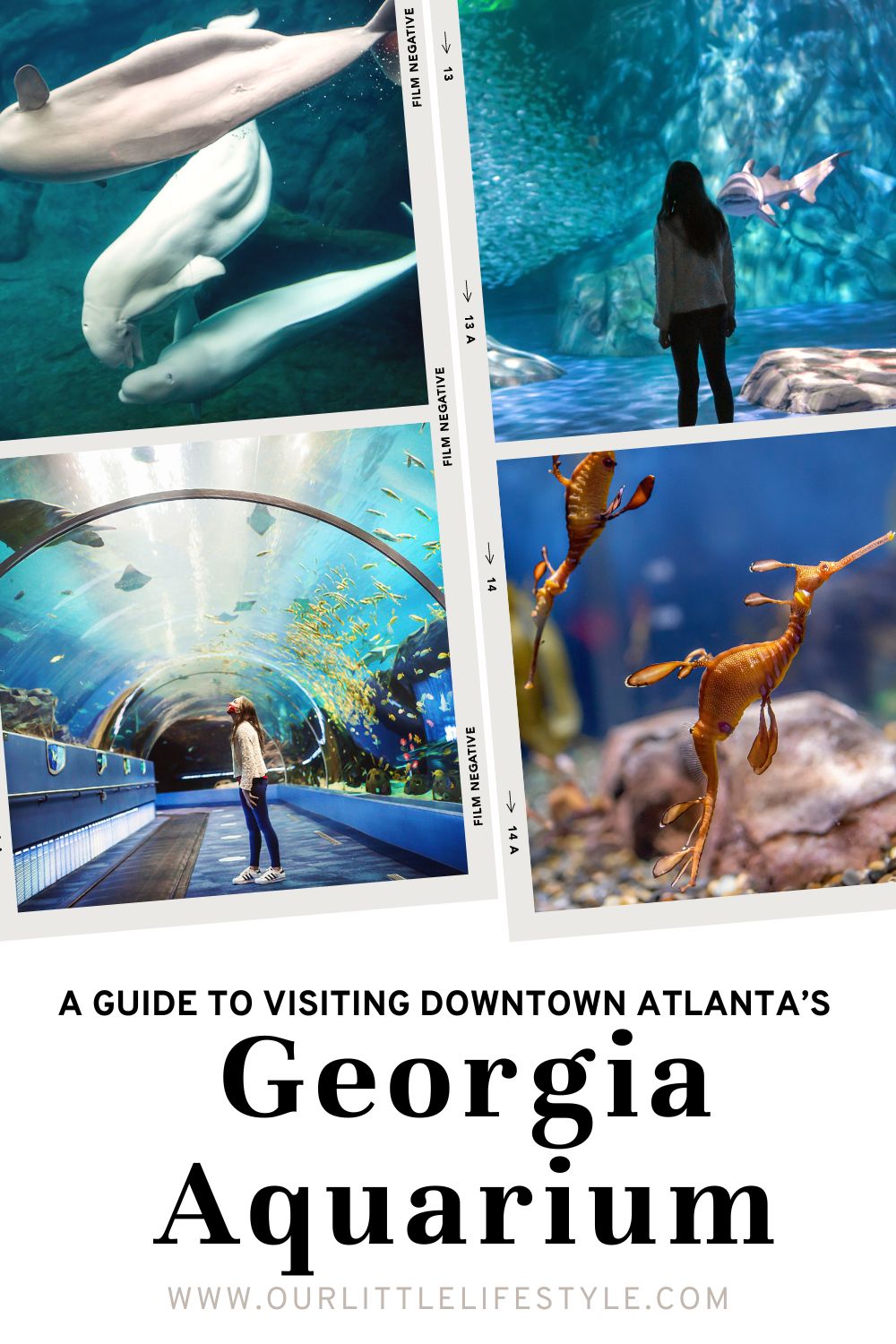 Atlanta Aquarium Georgia