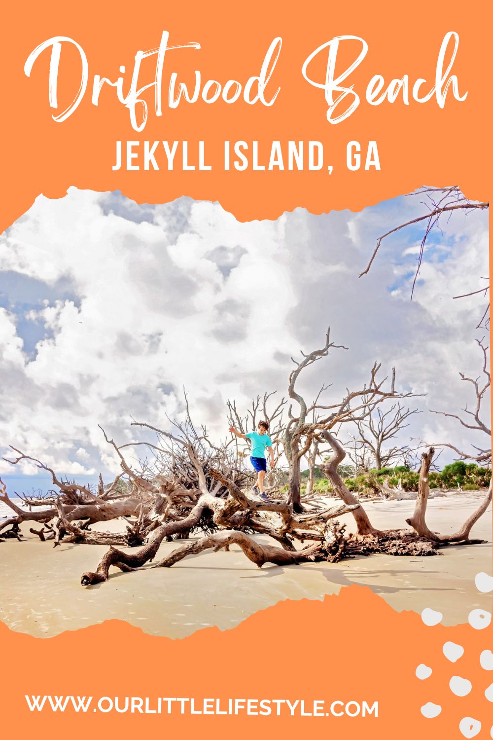 driftwood beach Jekyll Island GA
