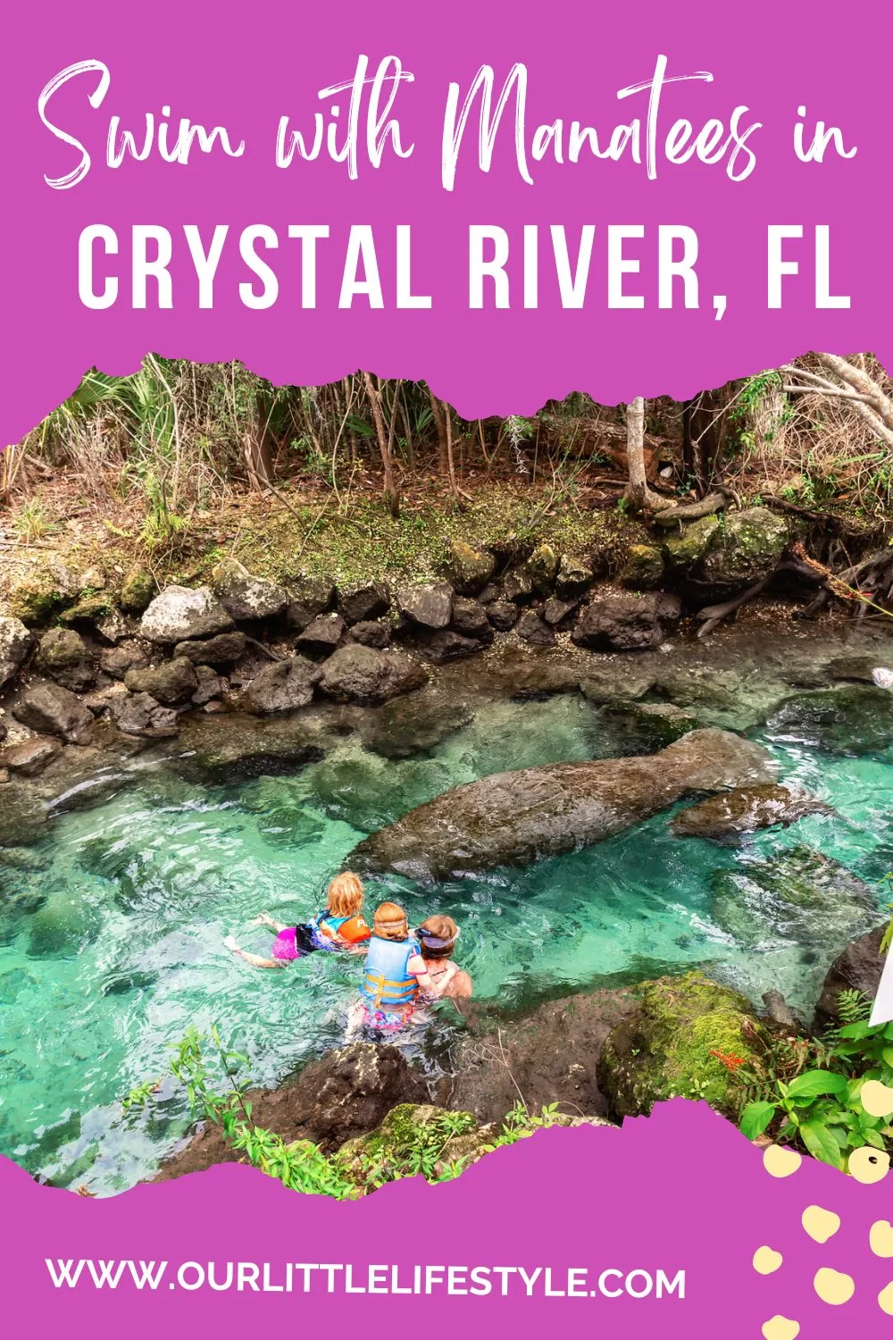 Crystal River FL Manatees Trip