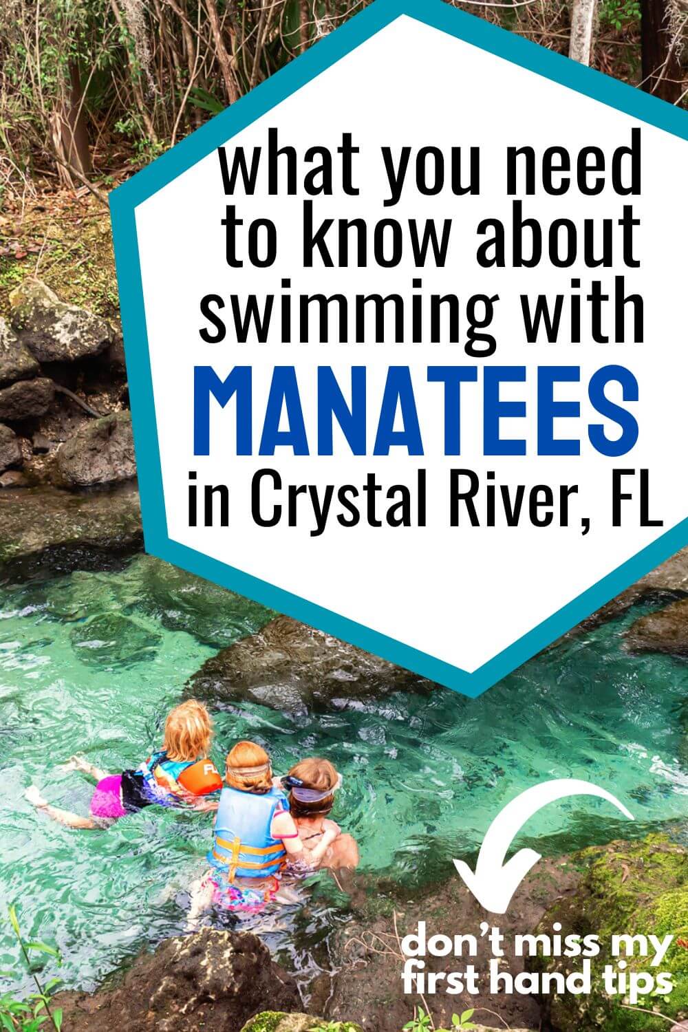 Florida Travel Swim with Manatees