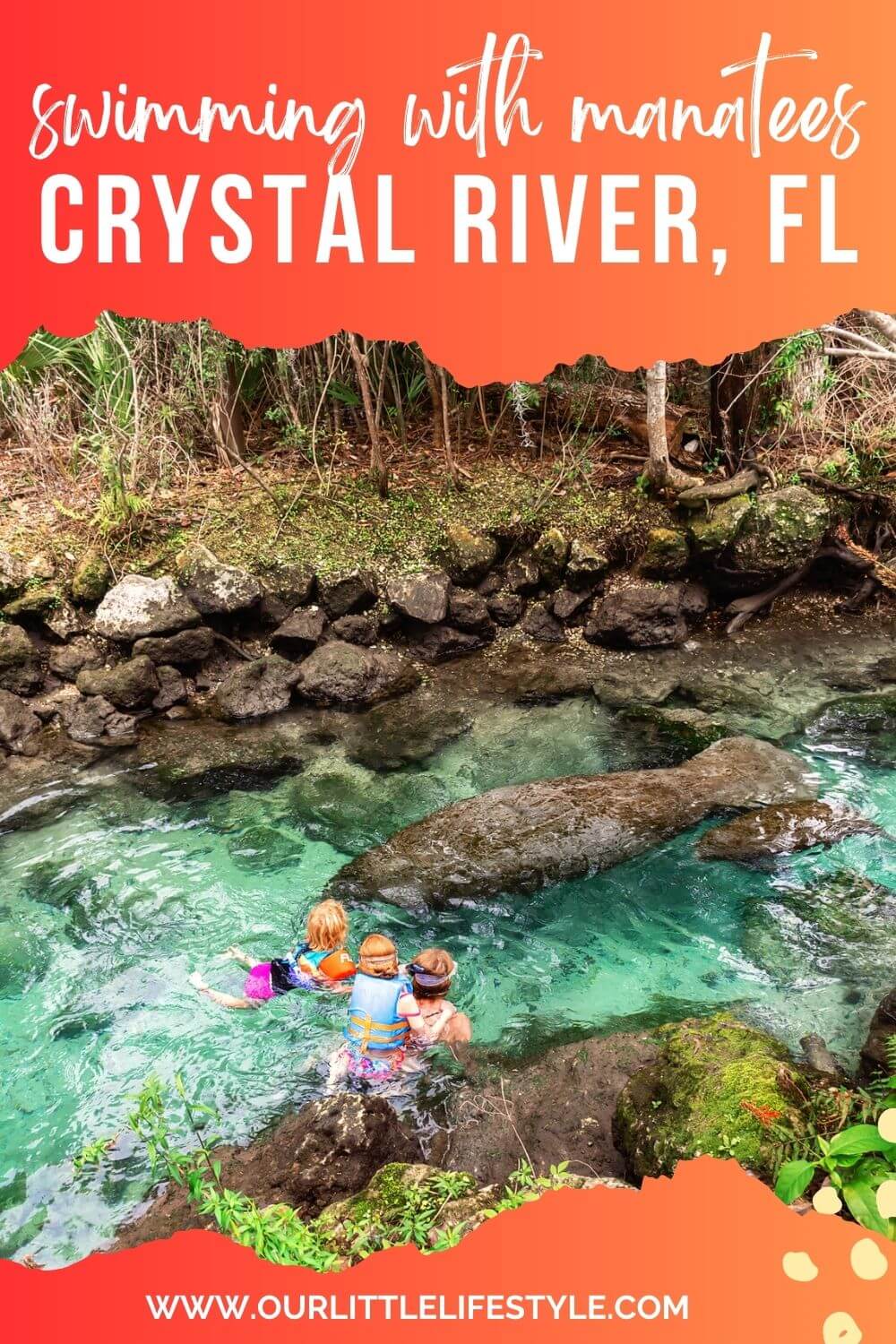 Swimming with Manatees in Crystal River, Florida – Wild Junket