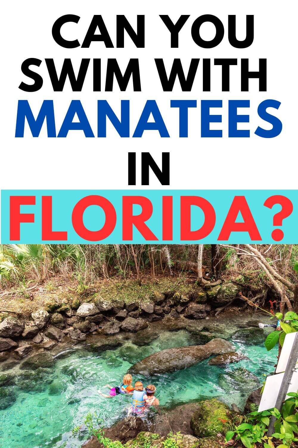 Swimming with Manatees in Florida
