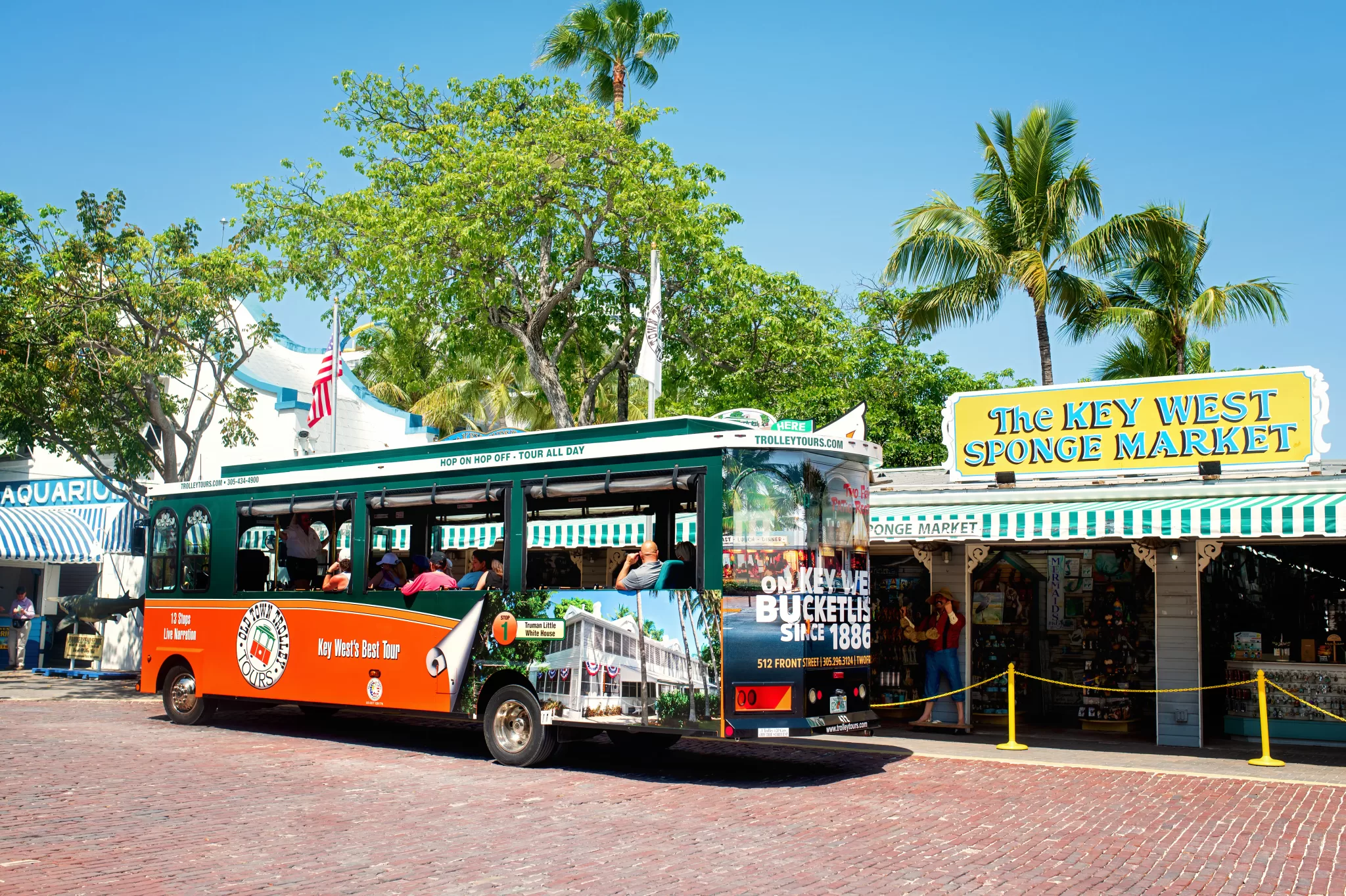 14 Fun Things for Families to do in Key West