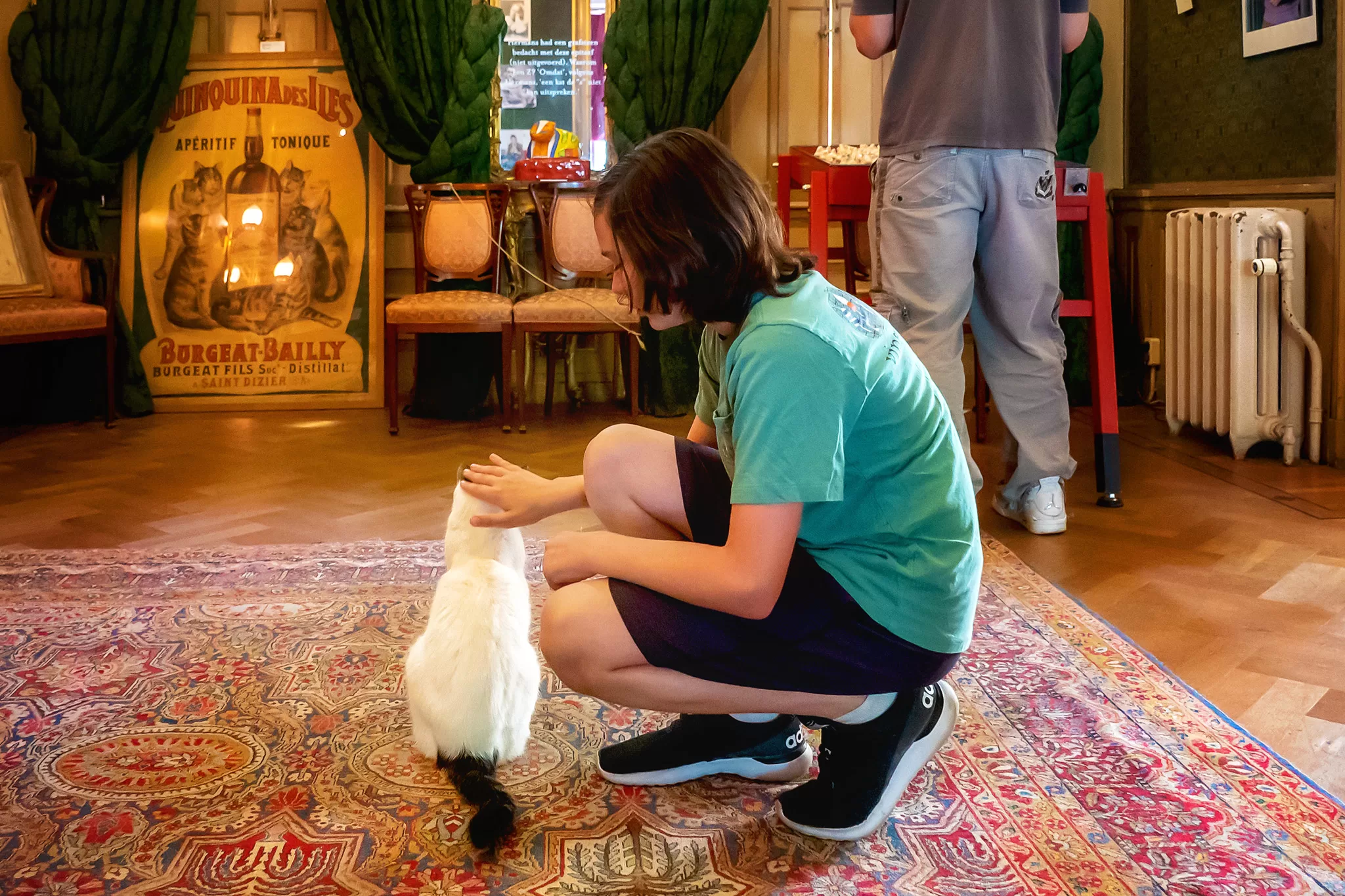 A photo of a boy crouched down, petting a cat.
