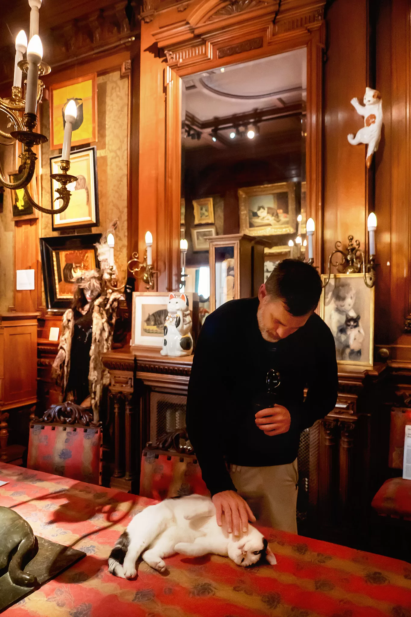 A blog post about visiting the amsterdam cat museum. This photo shows a man petting a cat inside this Amsterdam museum.