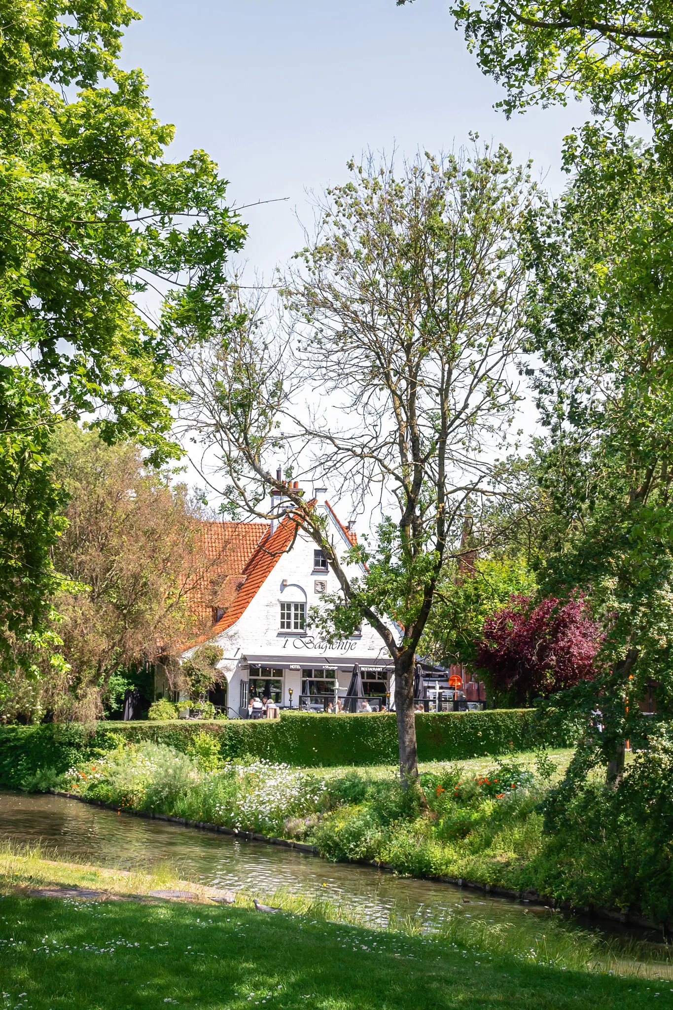 A white cottage restaurant in Bruges, Belgium with green trees