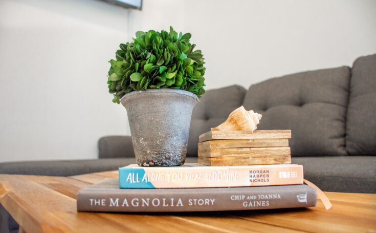 Photo of some books and a fake plant at an Airbnb rental