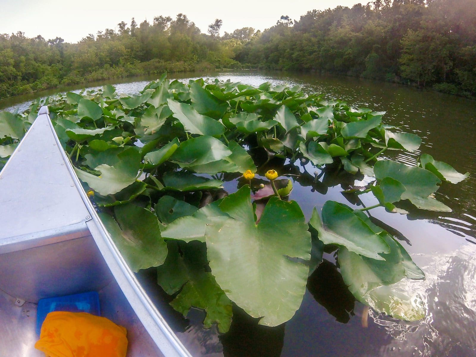 Creve Coeur Lake a hidden gem OurLittleLifestyle