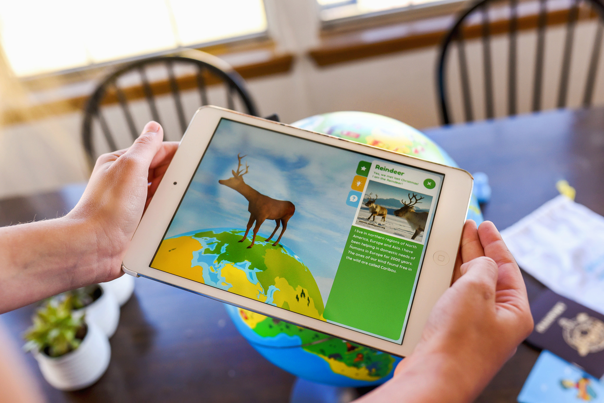 Screen of an ipad showing a reindeer.  A child is playing with the Orboot globe