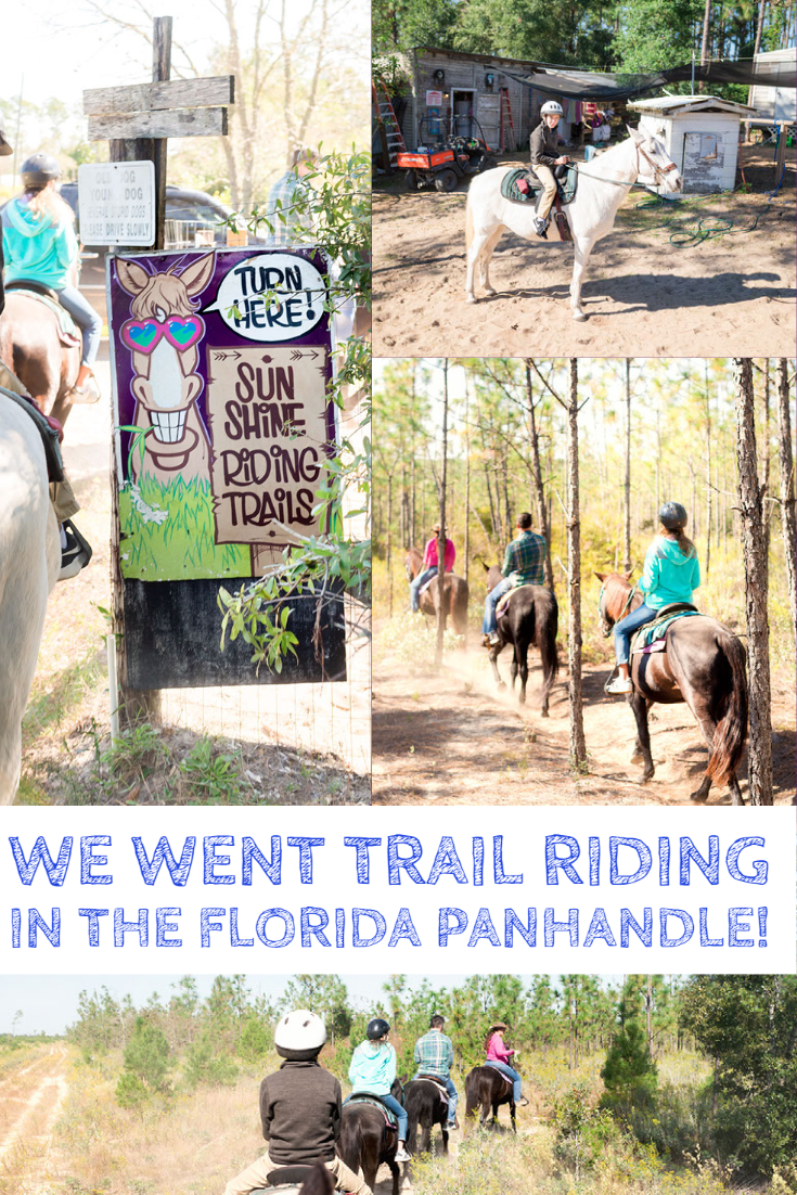 Horseback Riding in Panama City Beach, Florida: A Complete Guide