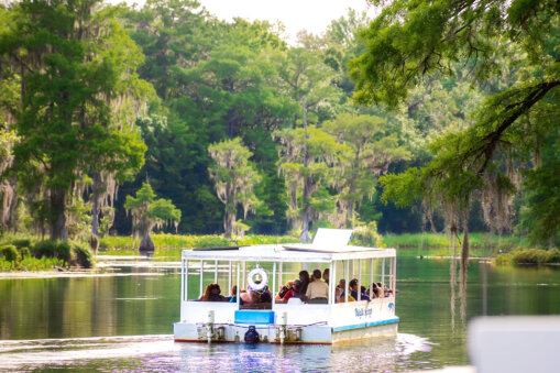 wakulla river cruise