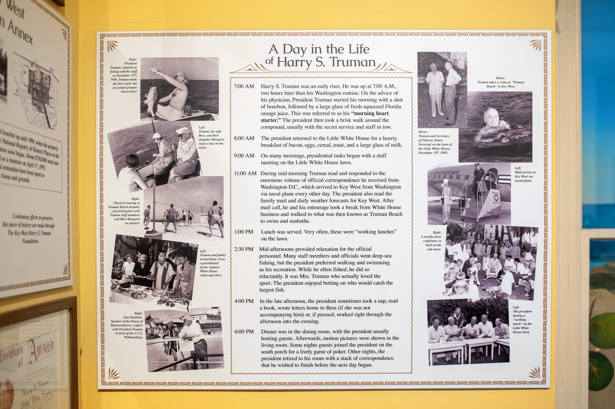 harry truman timeline