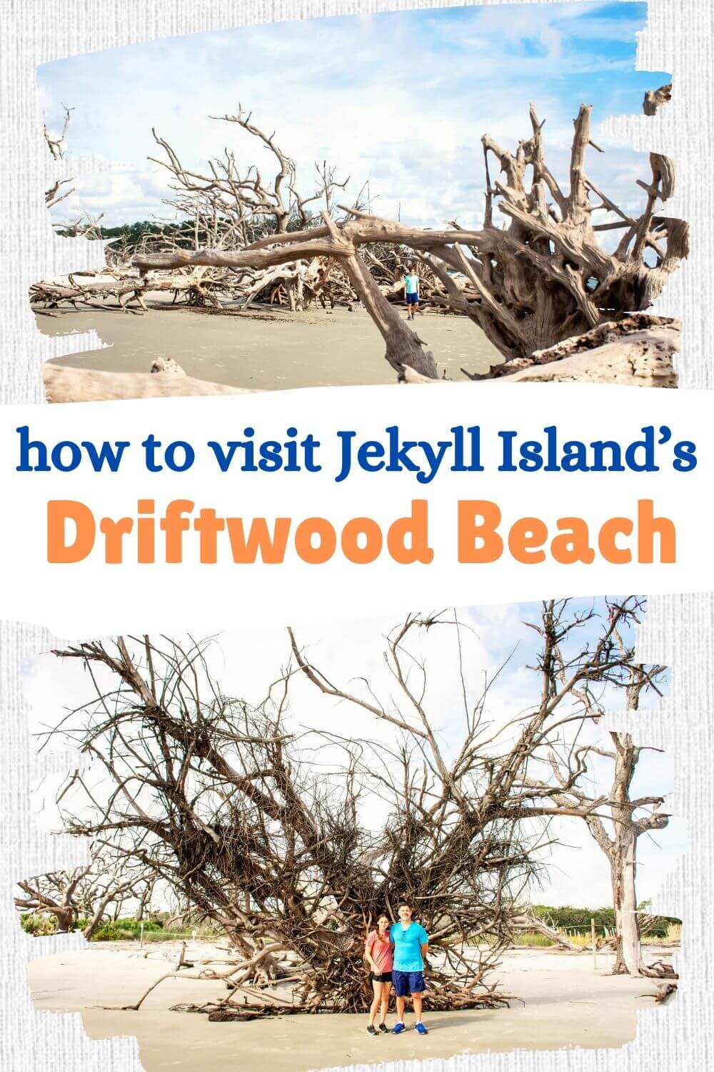 Driftwood Beach Jekyll Island 2025