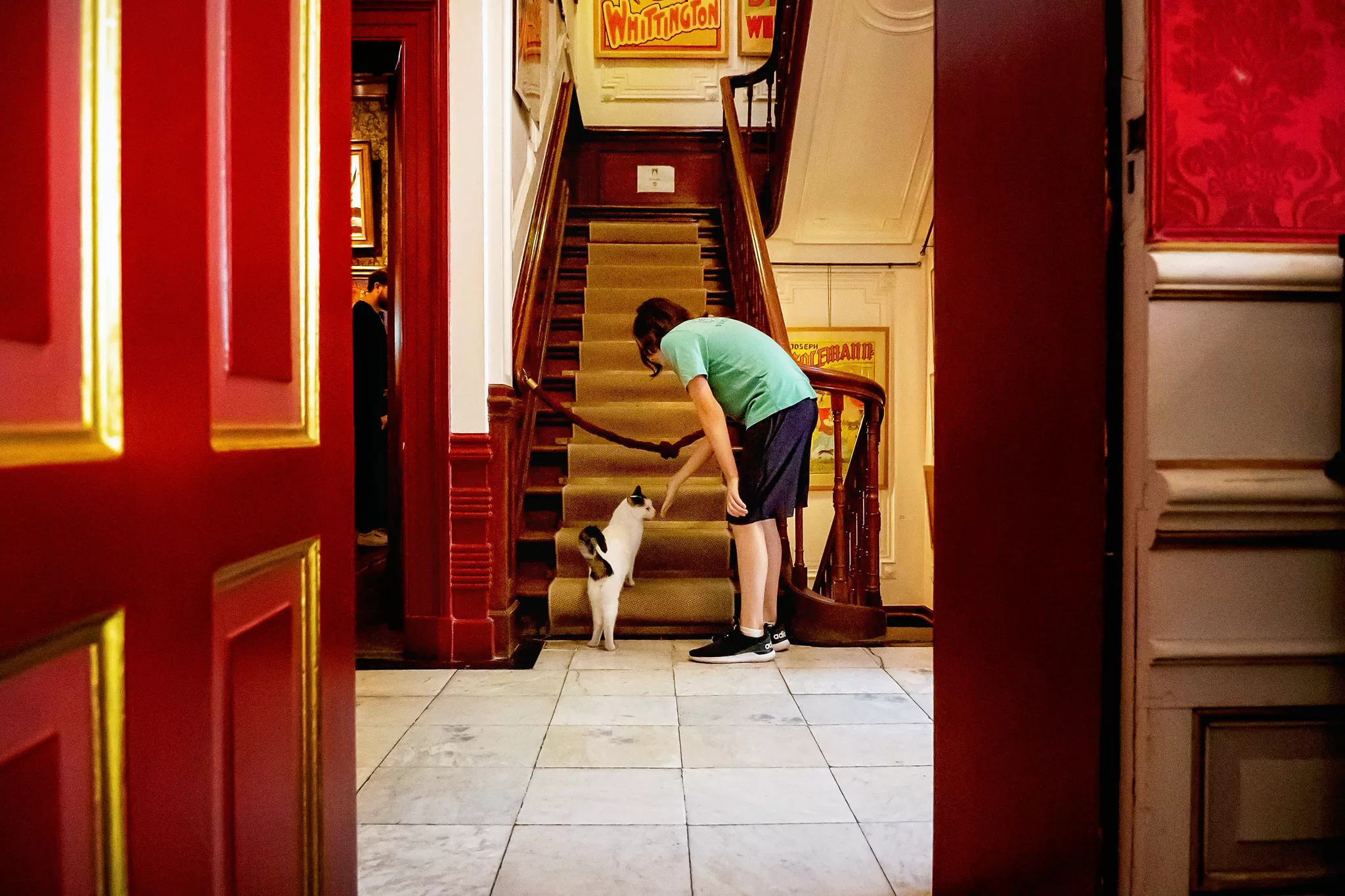 Inside kattenkabinet museum amsterdam. A photo of a boy petting a cat near the stairs.