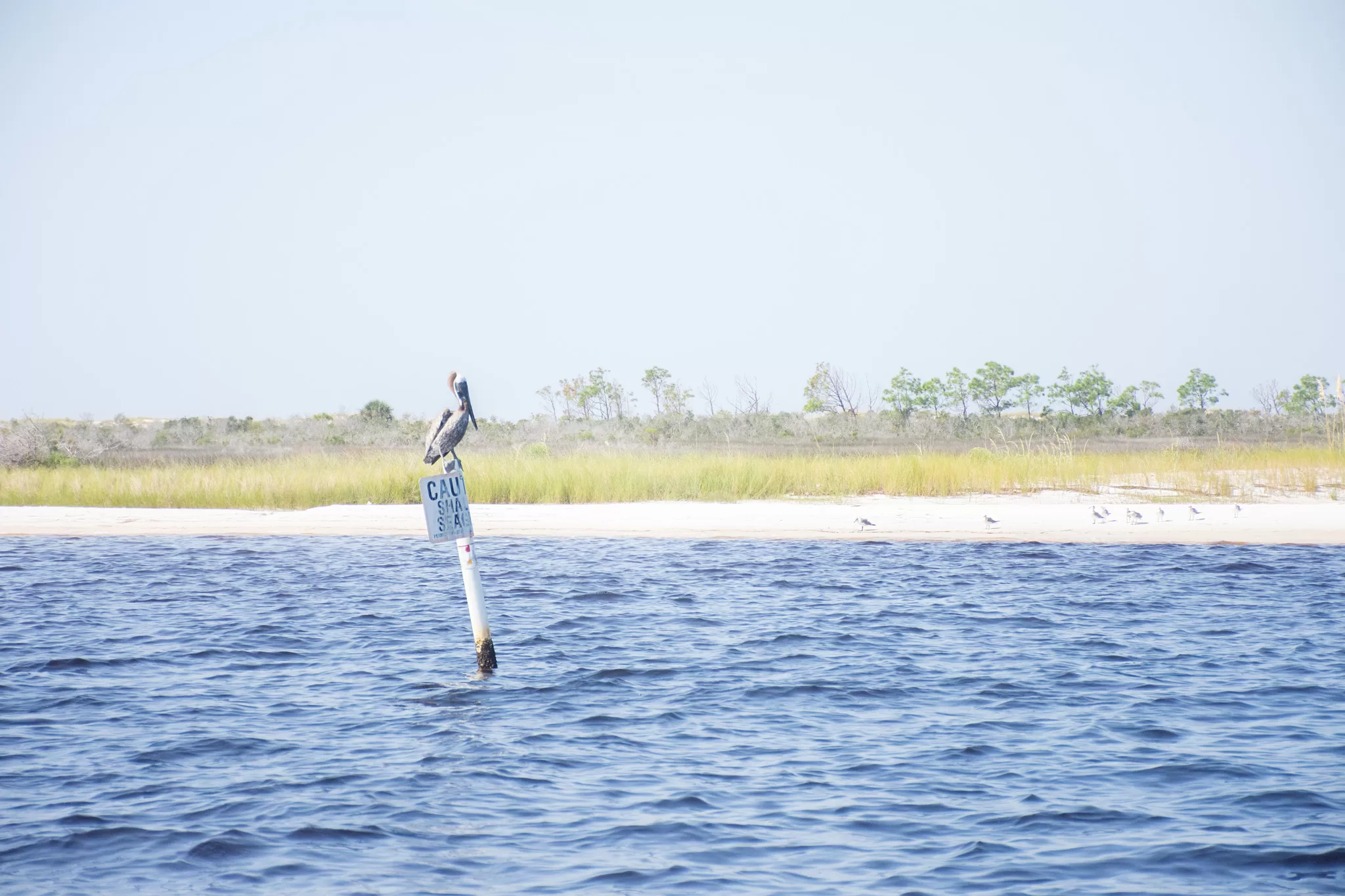 Shell Island, Flroida