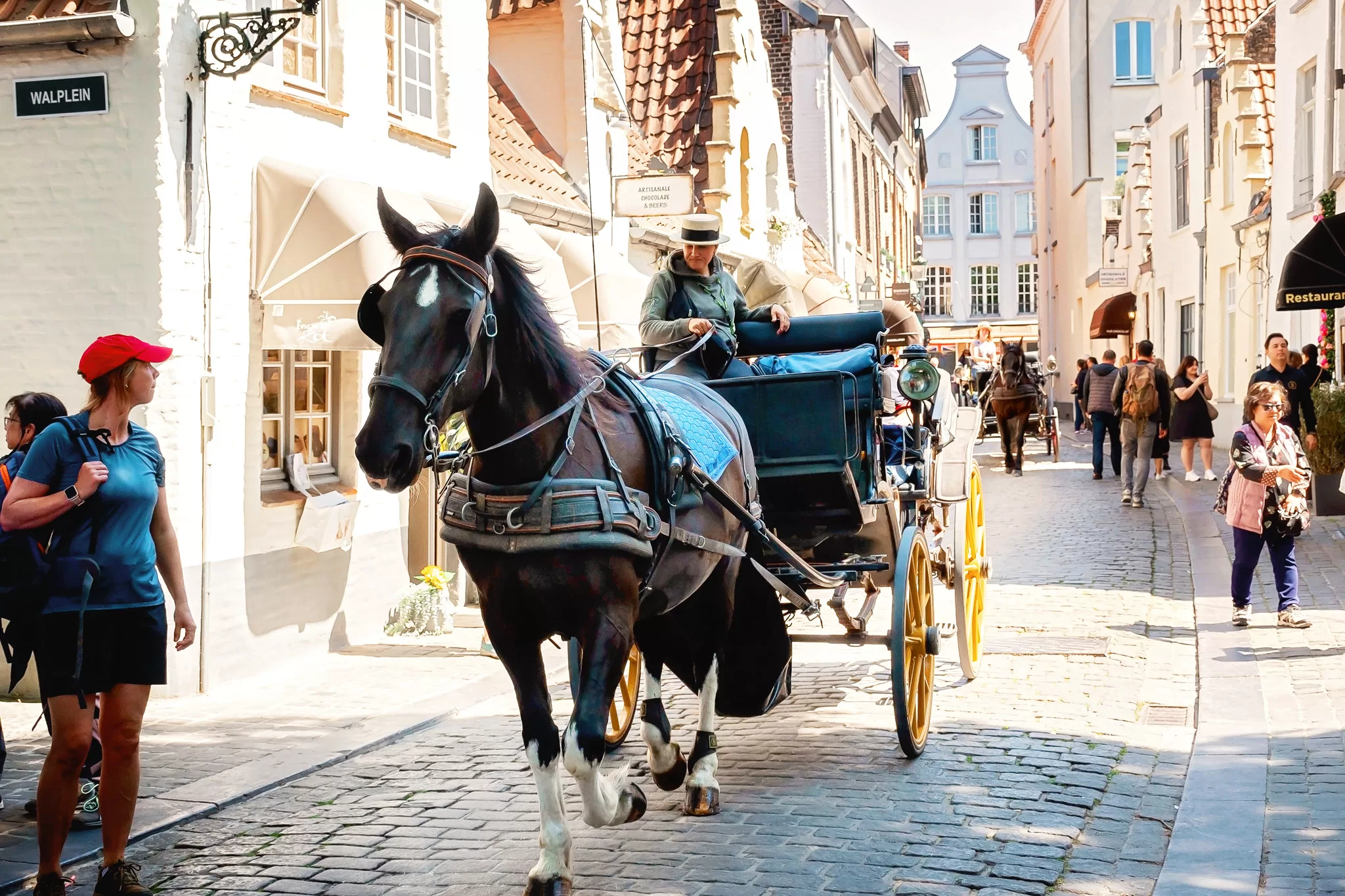 Photo shows a horse drawn carriage ride as one of the many things to do in Bruges Day Trip