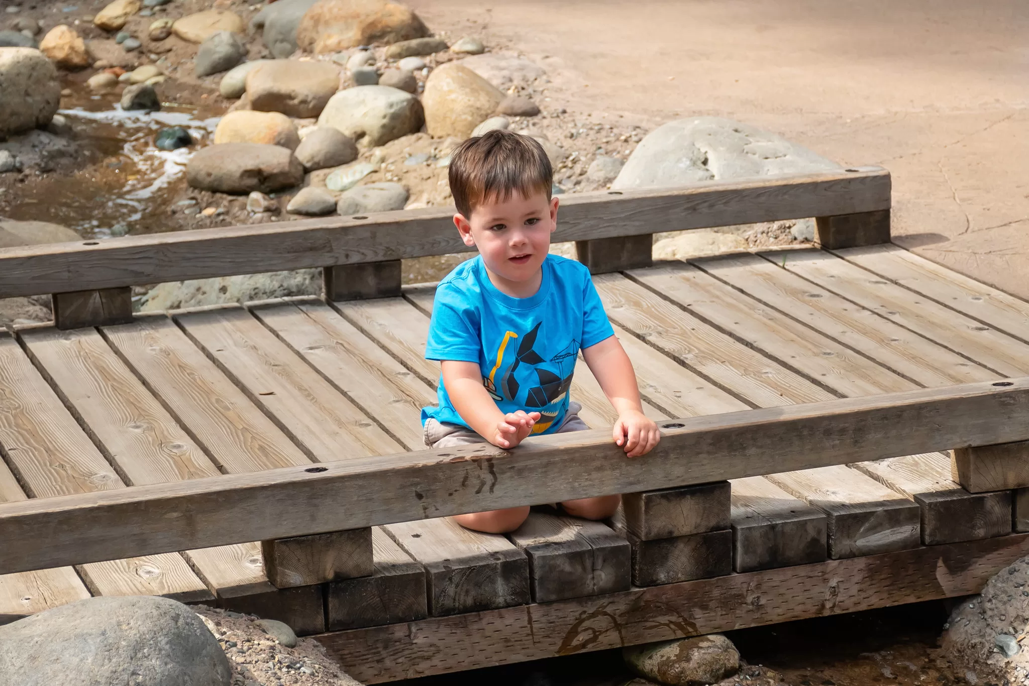A young boy playing on a bridge at Northwest Trek Wildlife Park