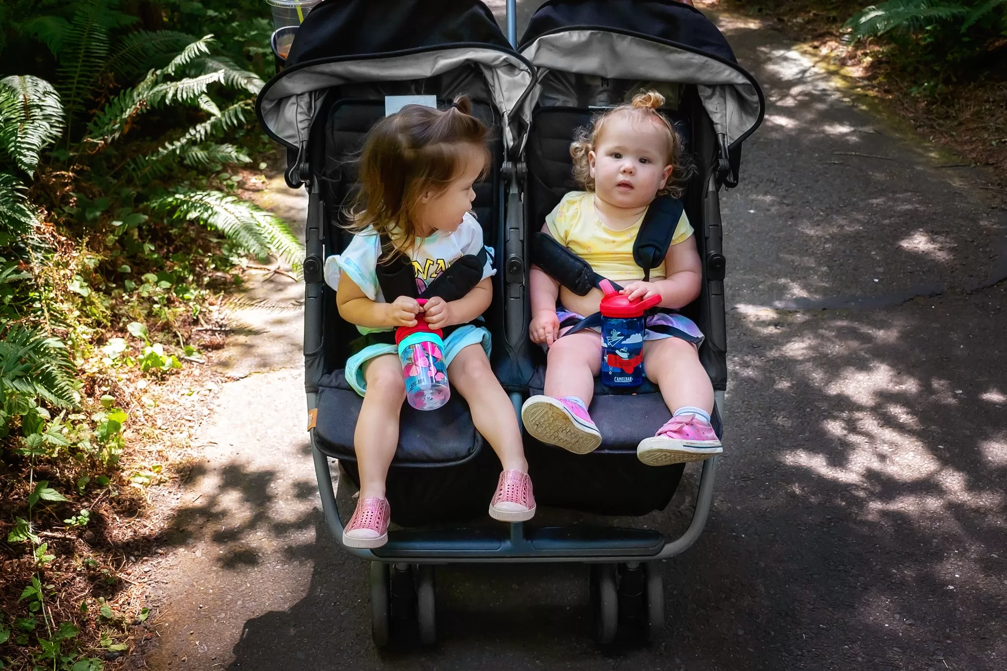 two toddler girls in a stroller on the path at Northwest Trek Wildlife Park