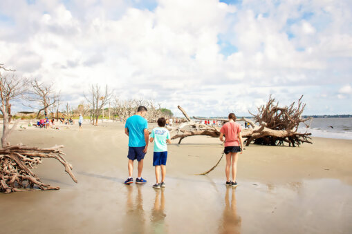 A family at Driftwood beach in Jekyll Island Georgia