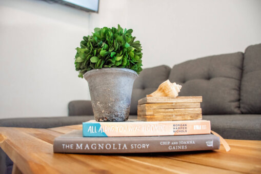 Photo of some books and a fake plant at an Airbnb rental