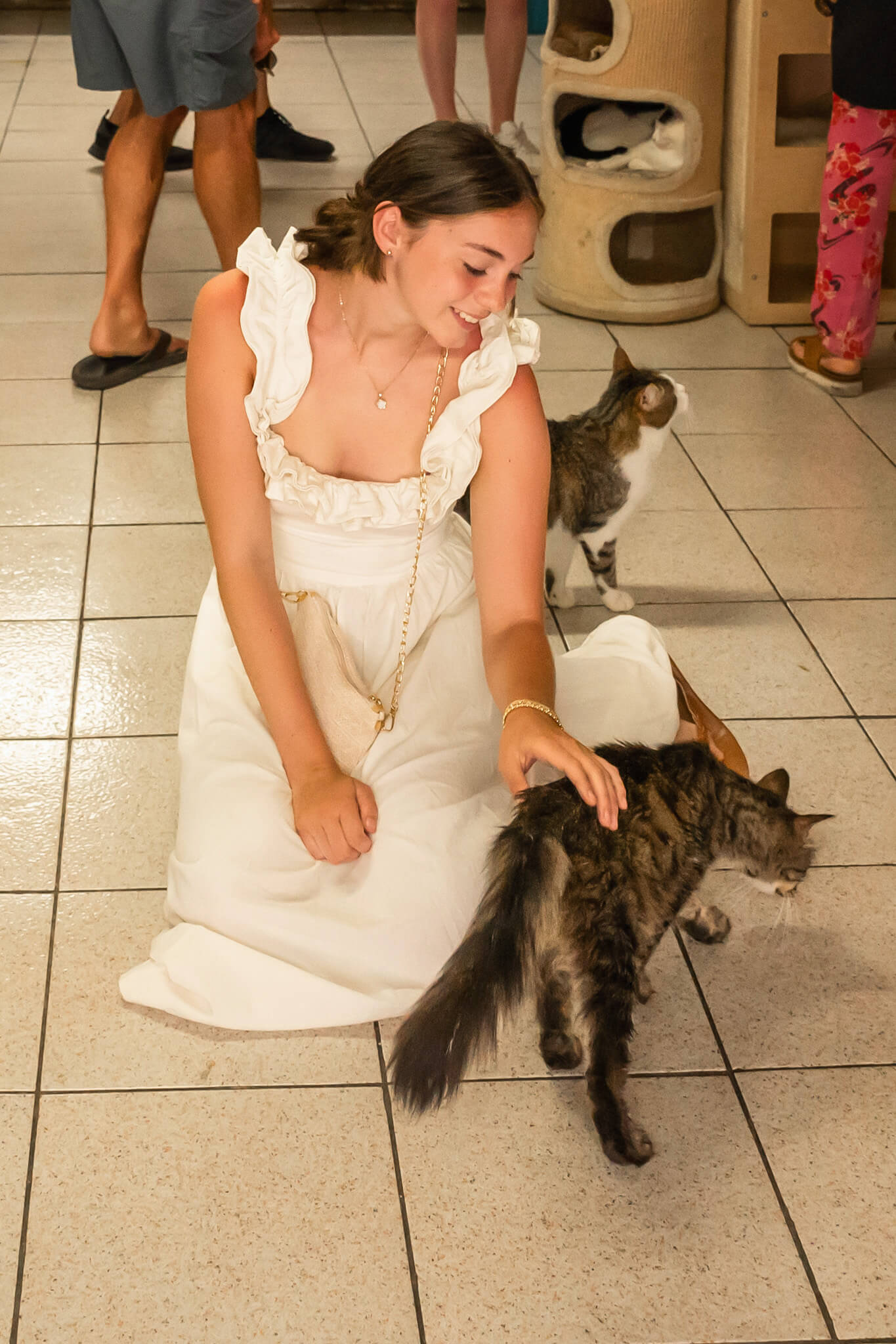 Abby petting Jefferson the cat at Torre Argentina Cat Sanctuary