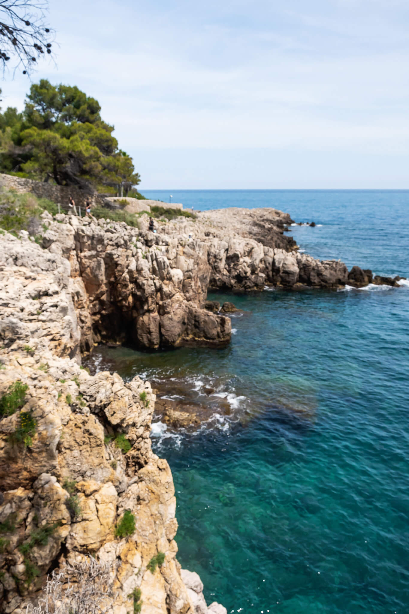 The rocky coastline along the Cap d'Antibes Hike in Antibes France