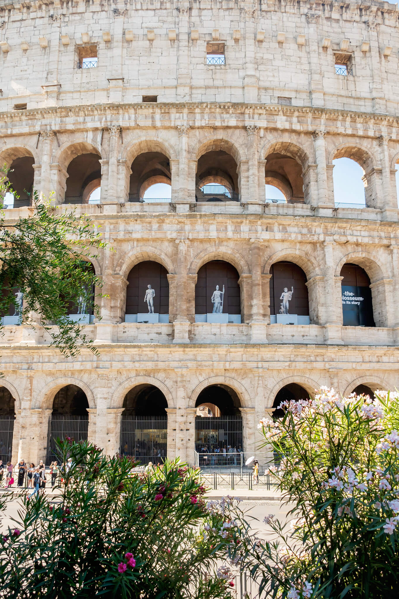 Colosseum in Rome Italy 