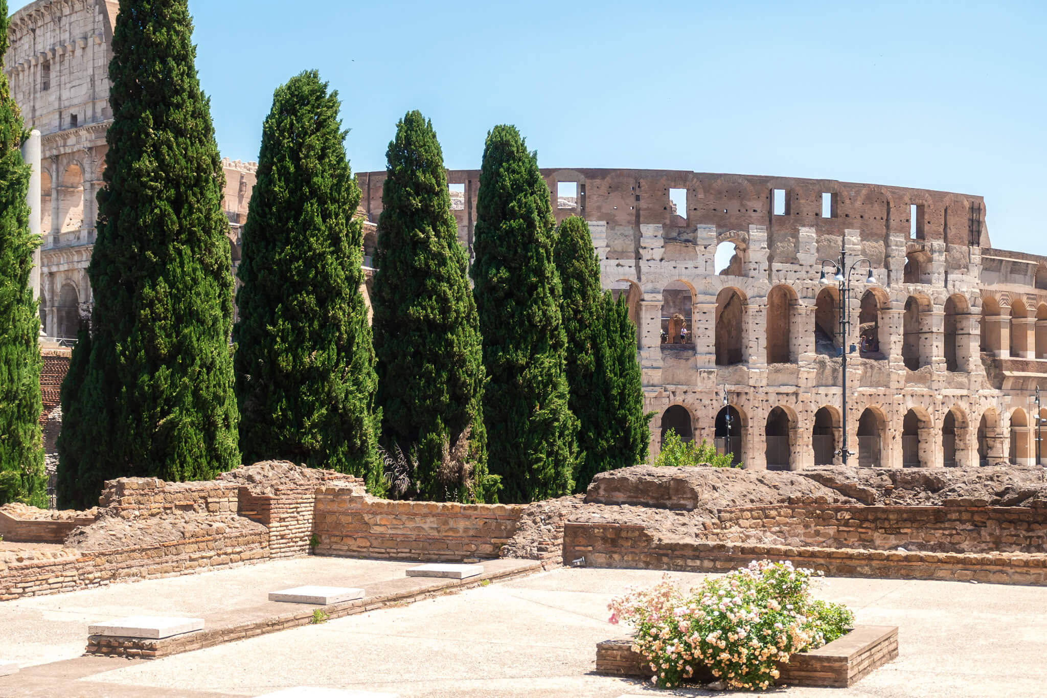 Colosseum Rome  Italy 