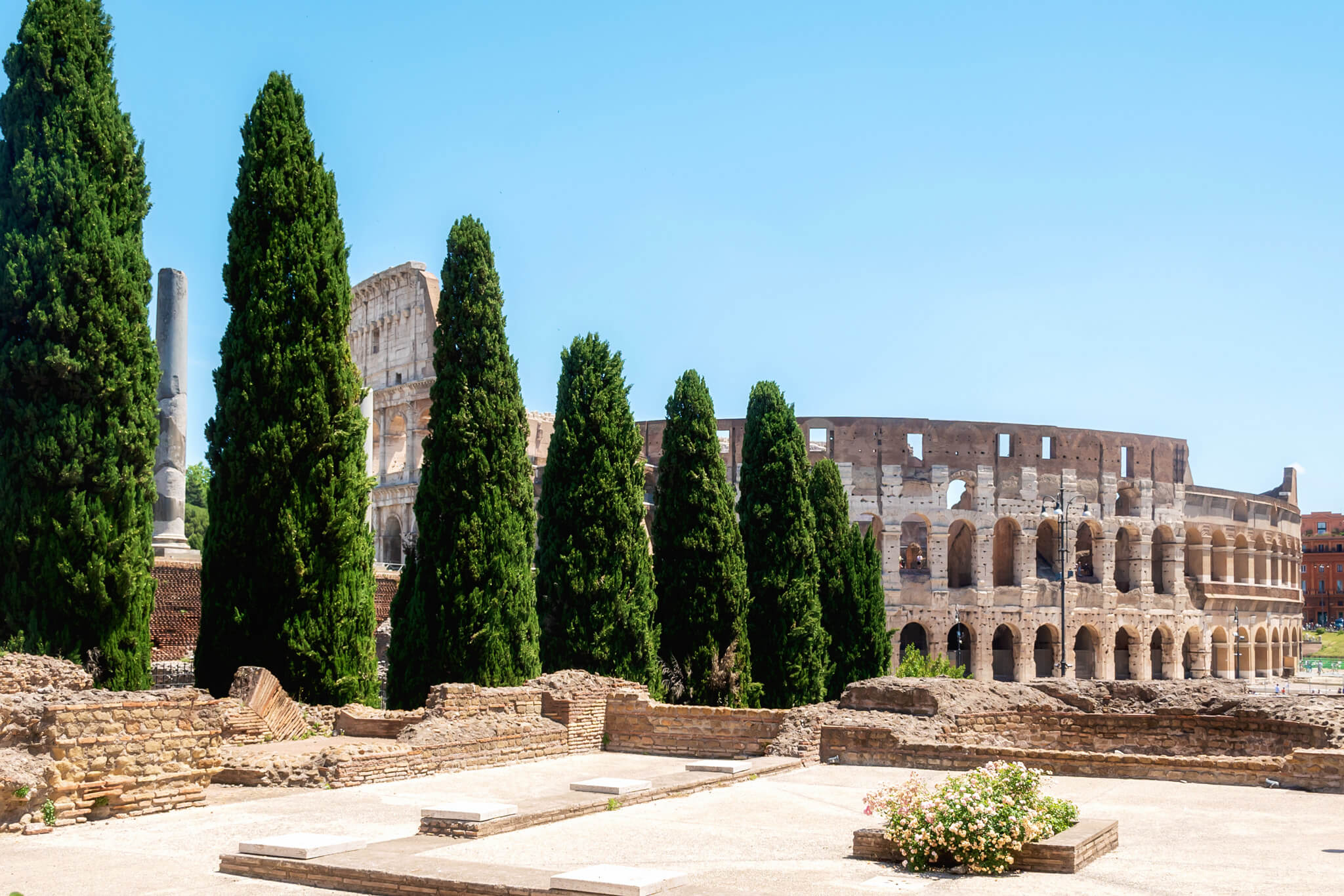 Colosseum Rome Italy