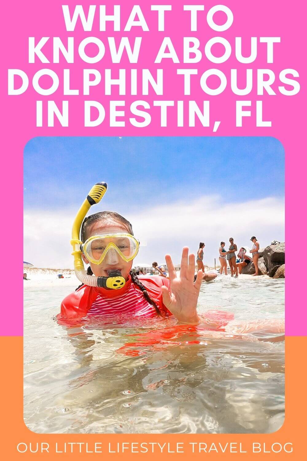 Dolphin Tours in Destin Florida 2024 Guide