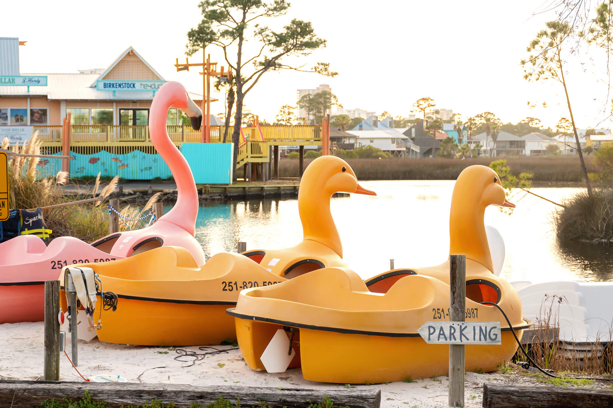 Fun Things To Do In Gulf Shores