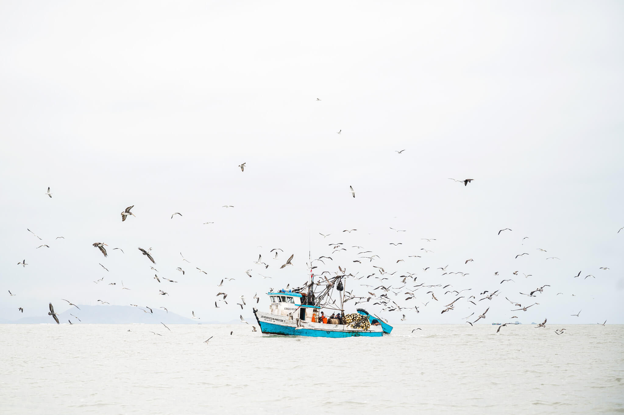  Palomino Islands Peru