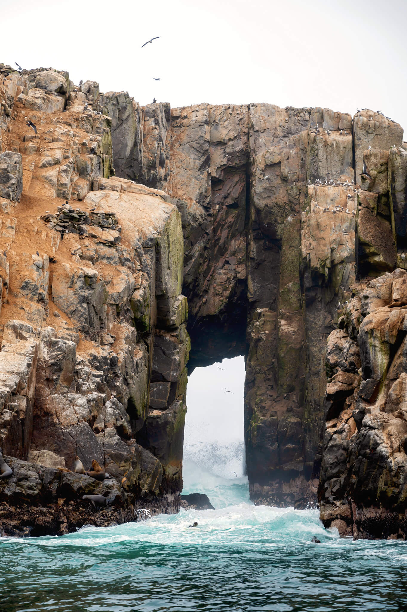 Palomino Islands Peru