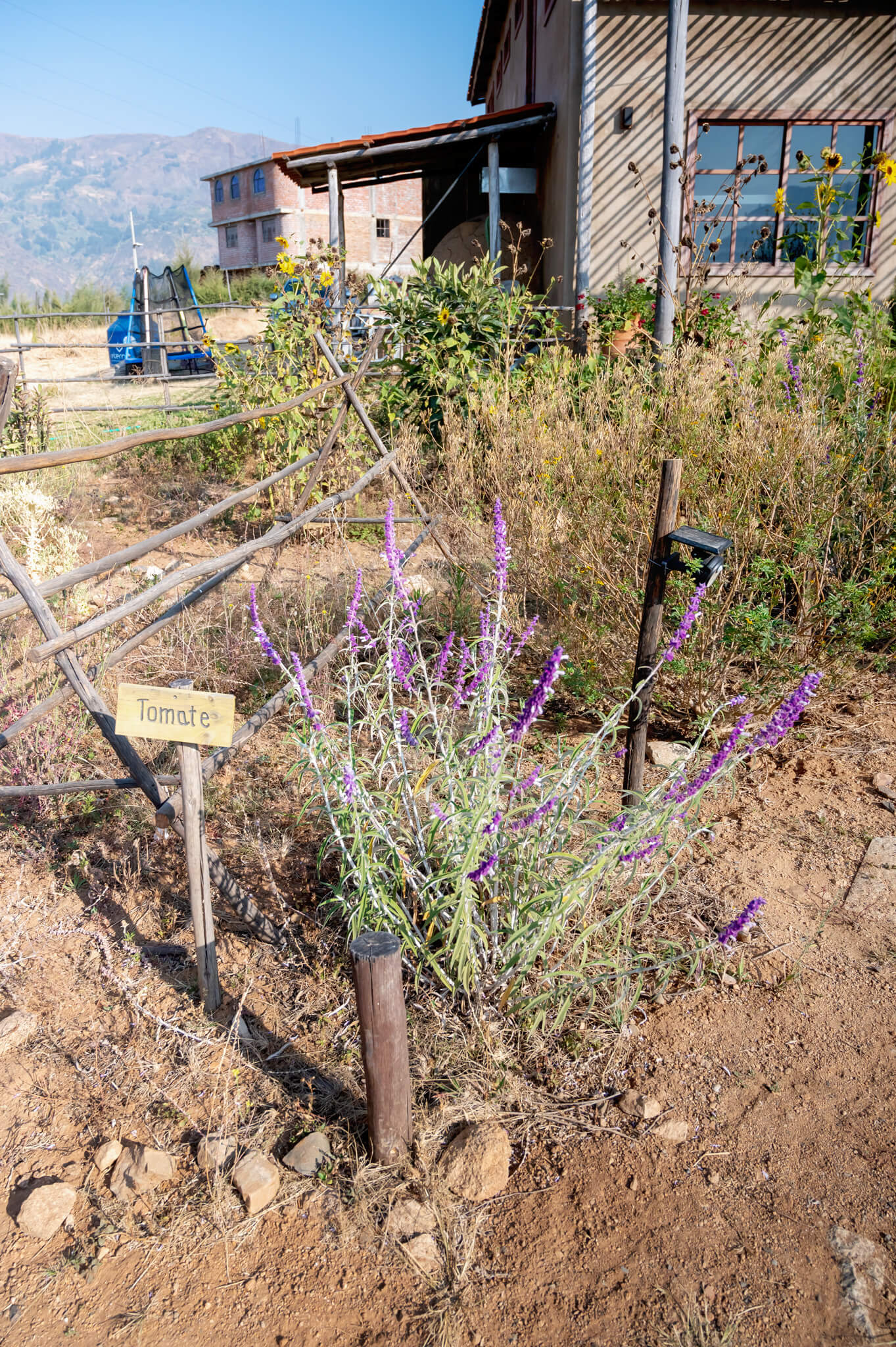 WAYARUMI Hotel Carhuaz Farm to Table