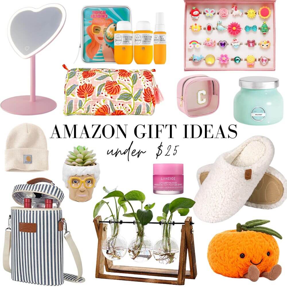 Amazon Gift Ideas Under $25