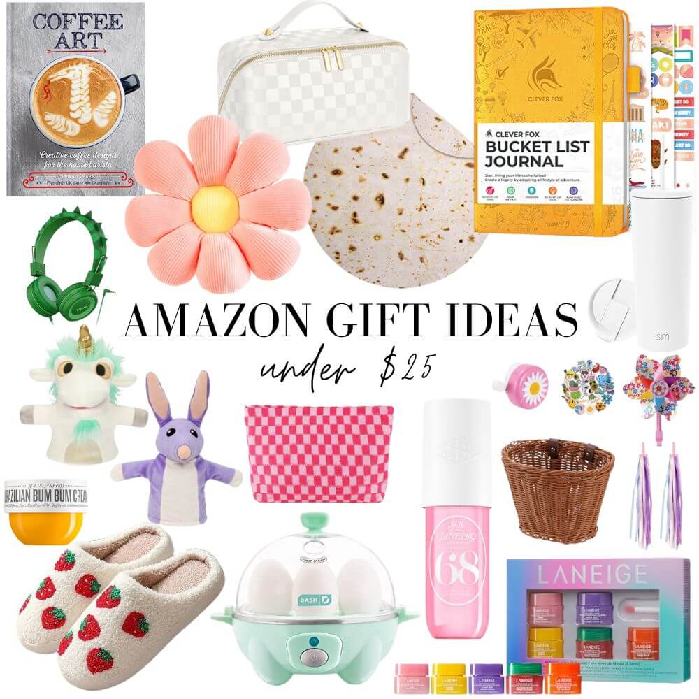 More Gift Ideas Under $25