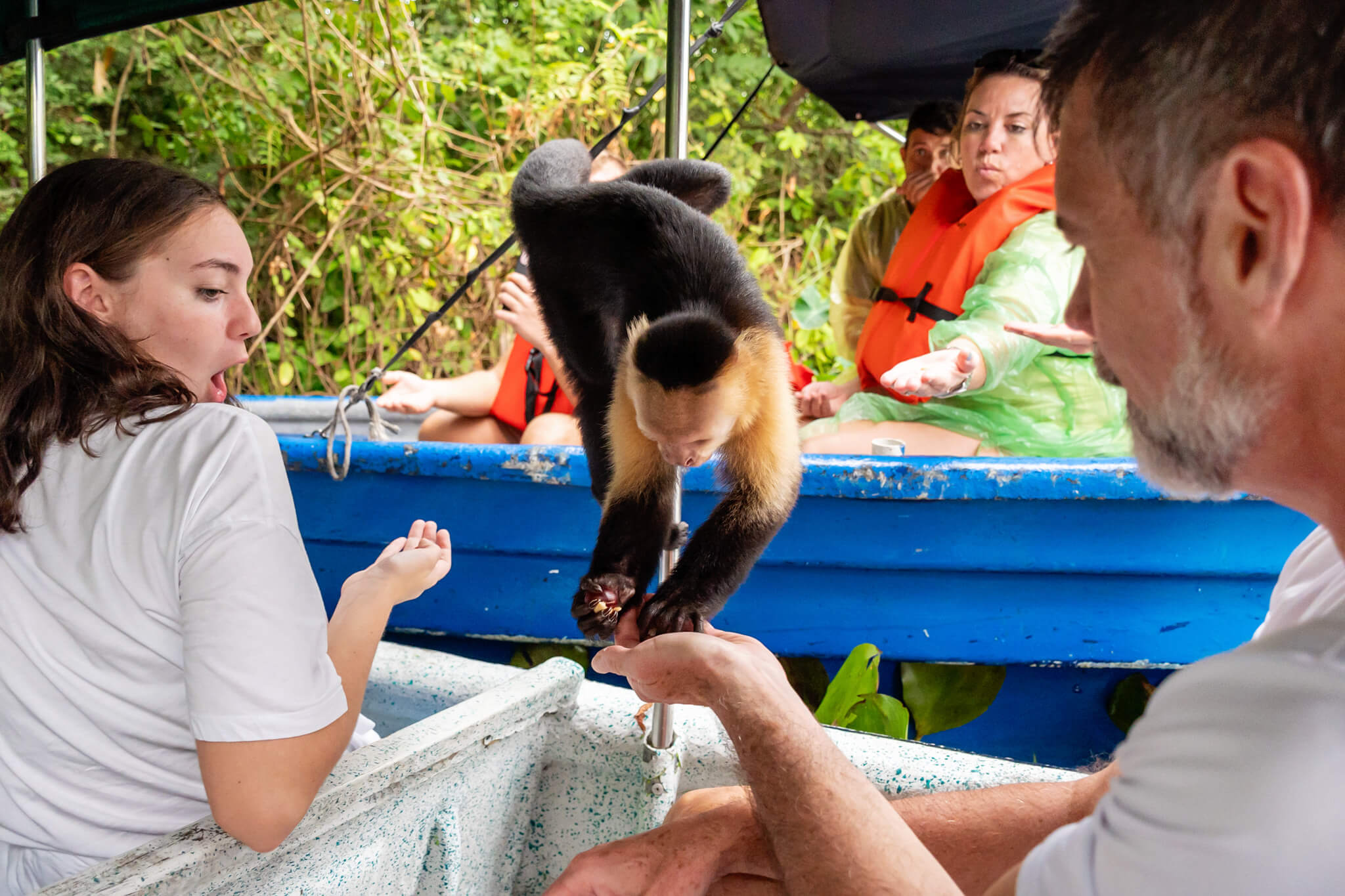 Monkey Island Panama Tour