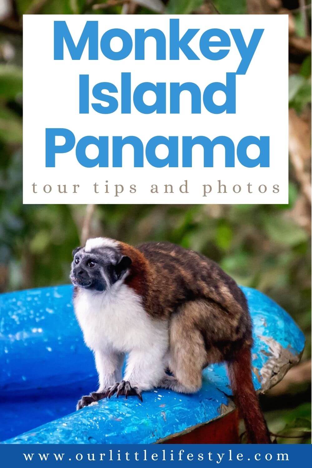 Visiting Monkey Island Panama Tour Tips and Photos