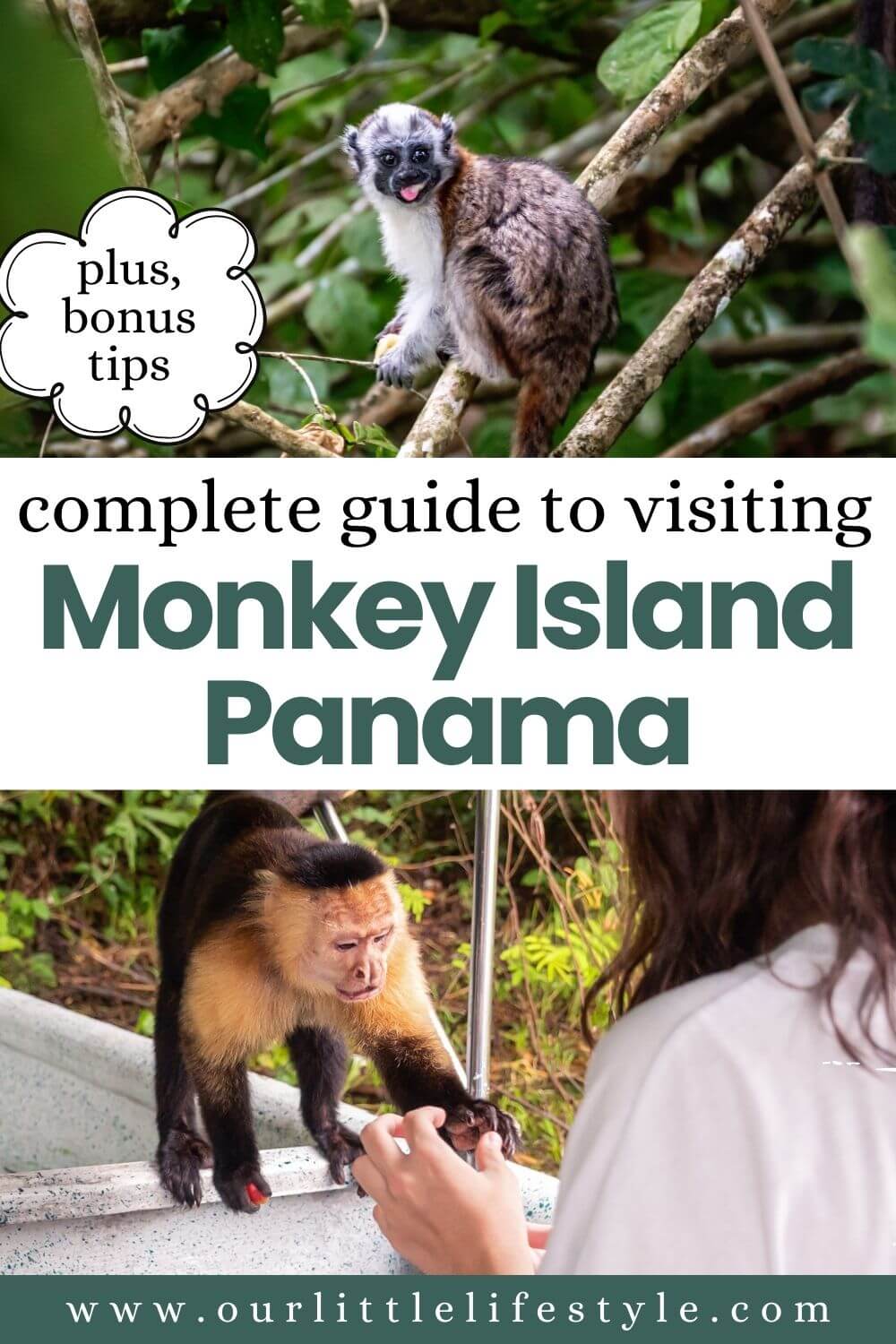 Visiting Monkey Island Panama