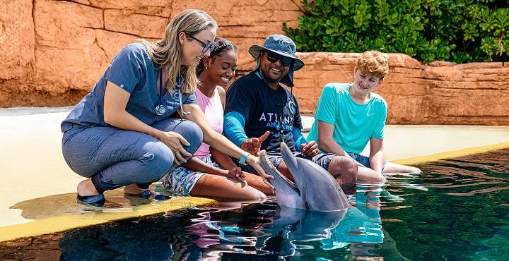 Atlantis Paradise Island Bahamas Resort Animal Encounters