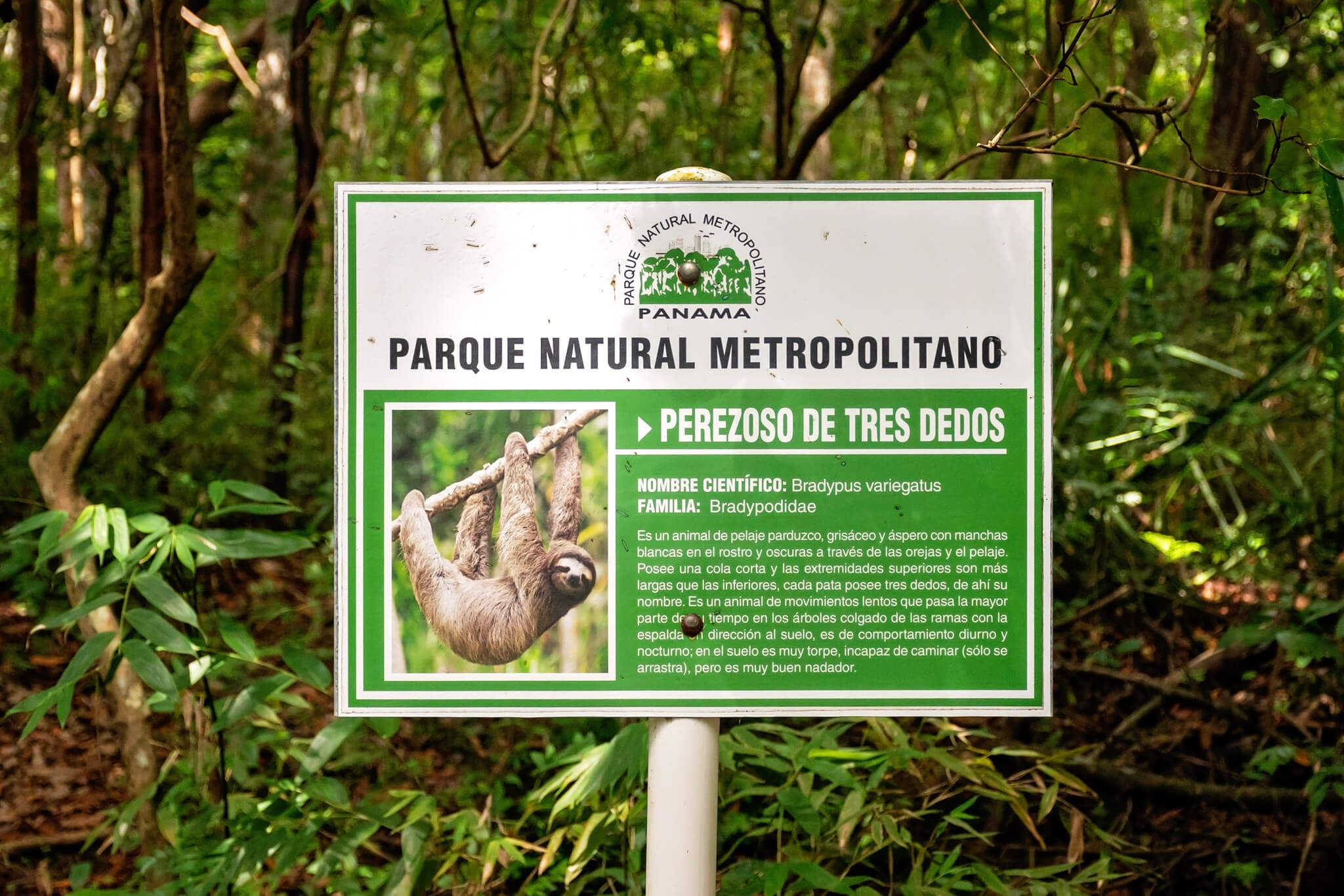 Metropolitin National Park Panama City Panam