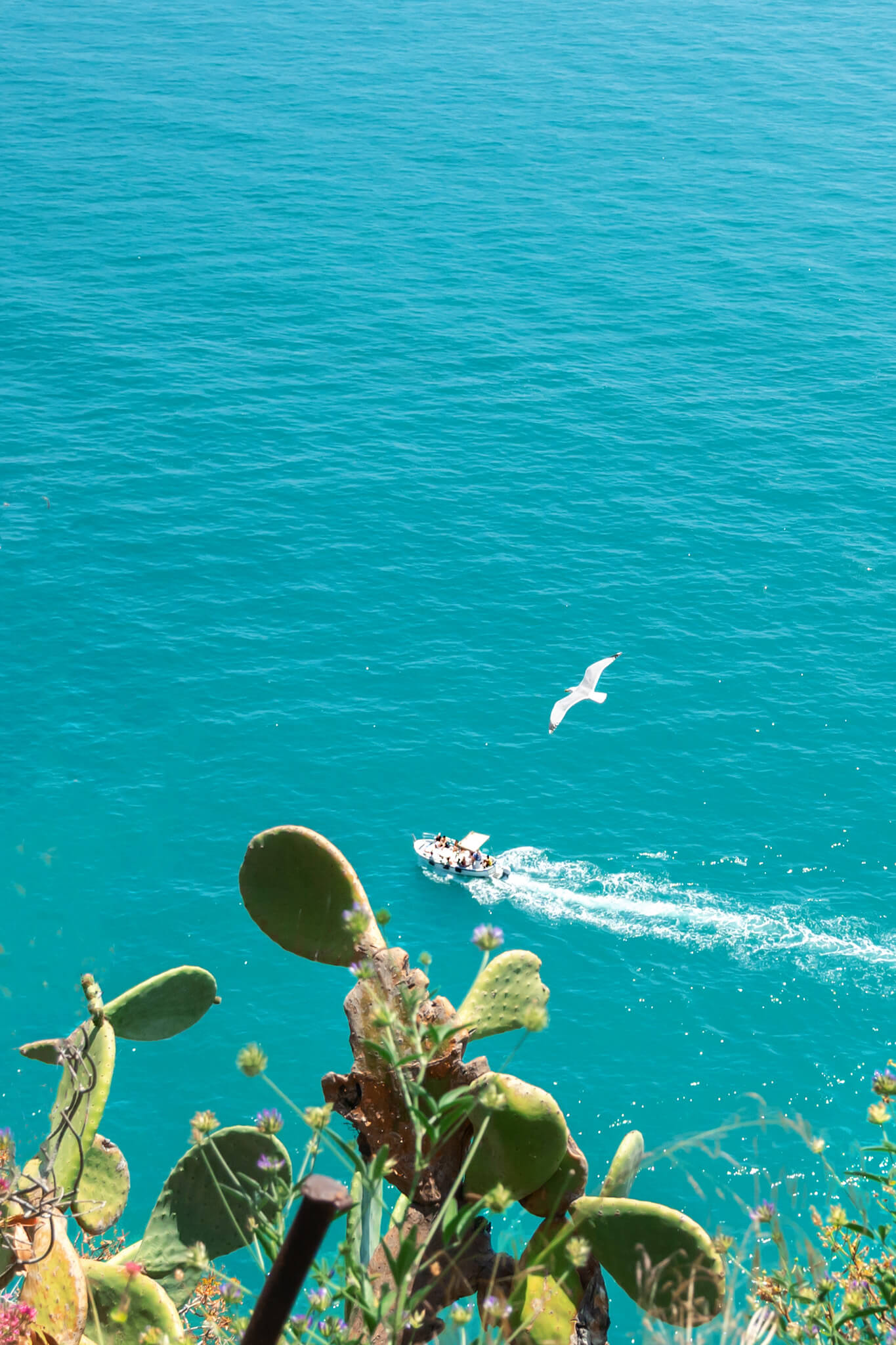 View from high up in Corniglia Cinque Terre Italy 