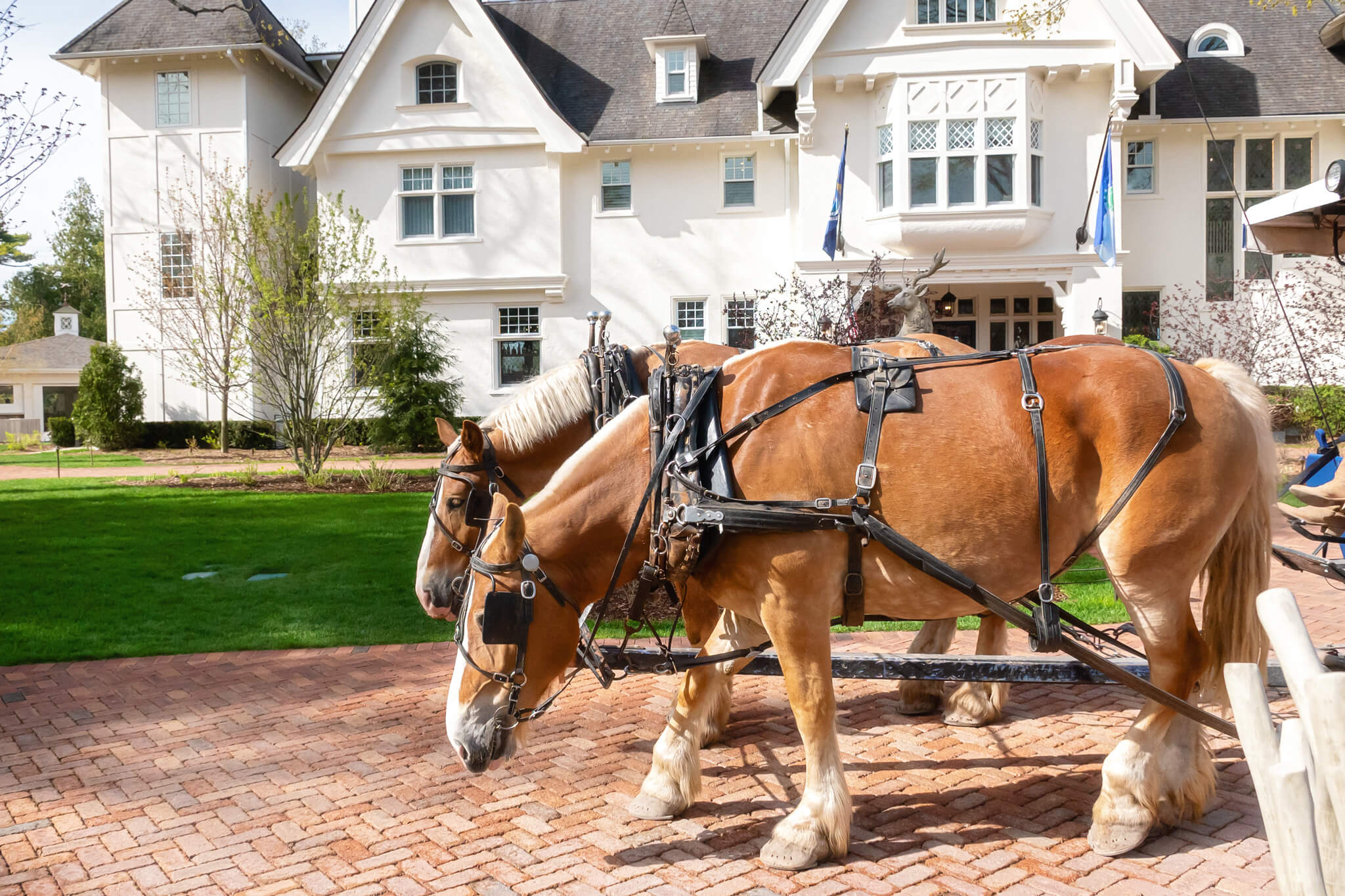 The Inn at Stonecliffe Mackinac Island