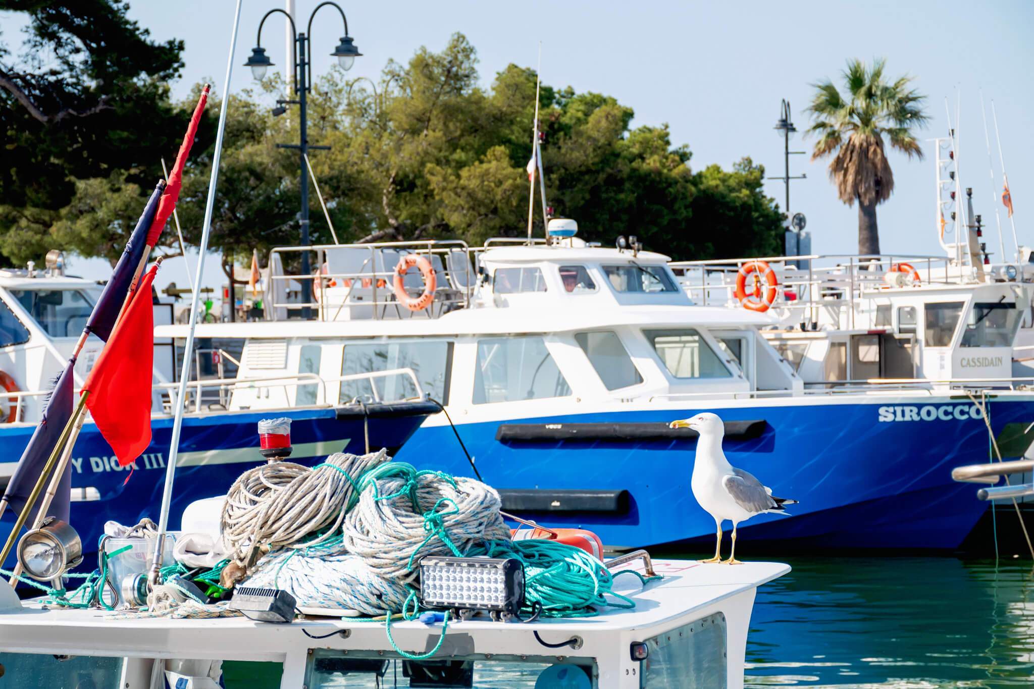 Taking a calanques boat tour from Cassis France 
