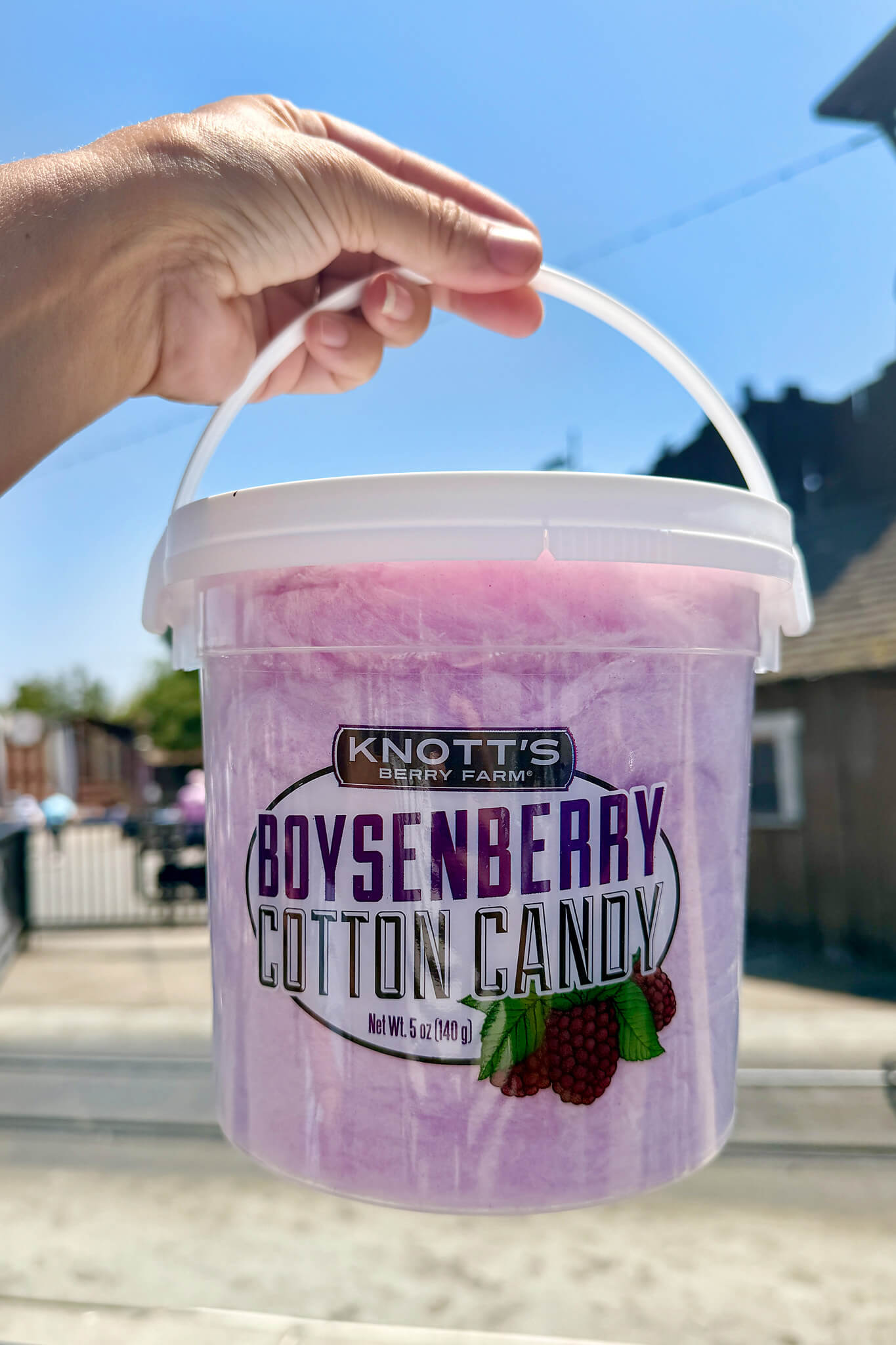 Knotts Berry Farm Bosenberry Treats