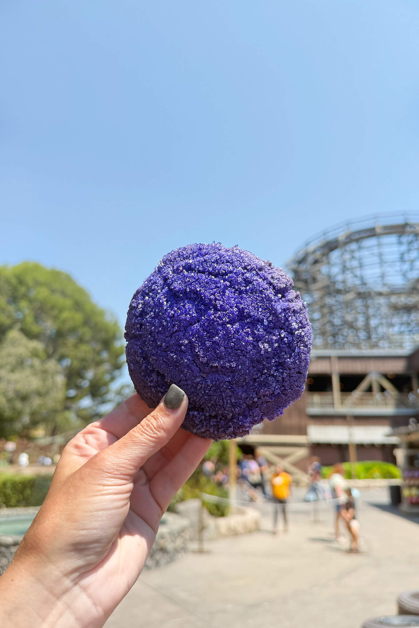 Knotts Berry Farm Bosenberry Treats