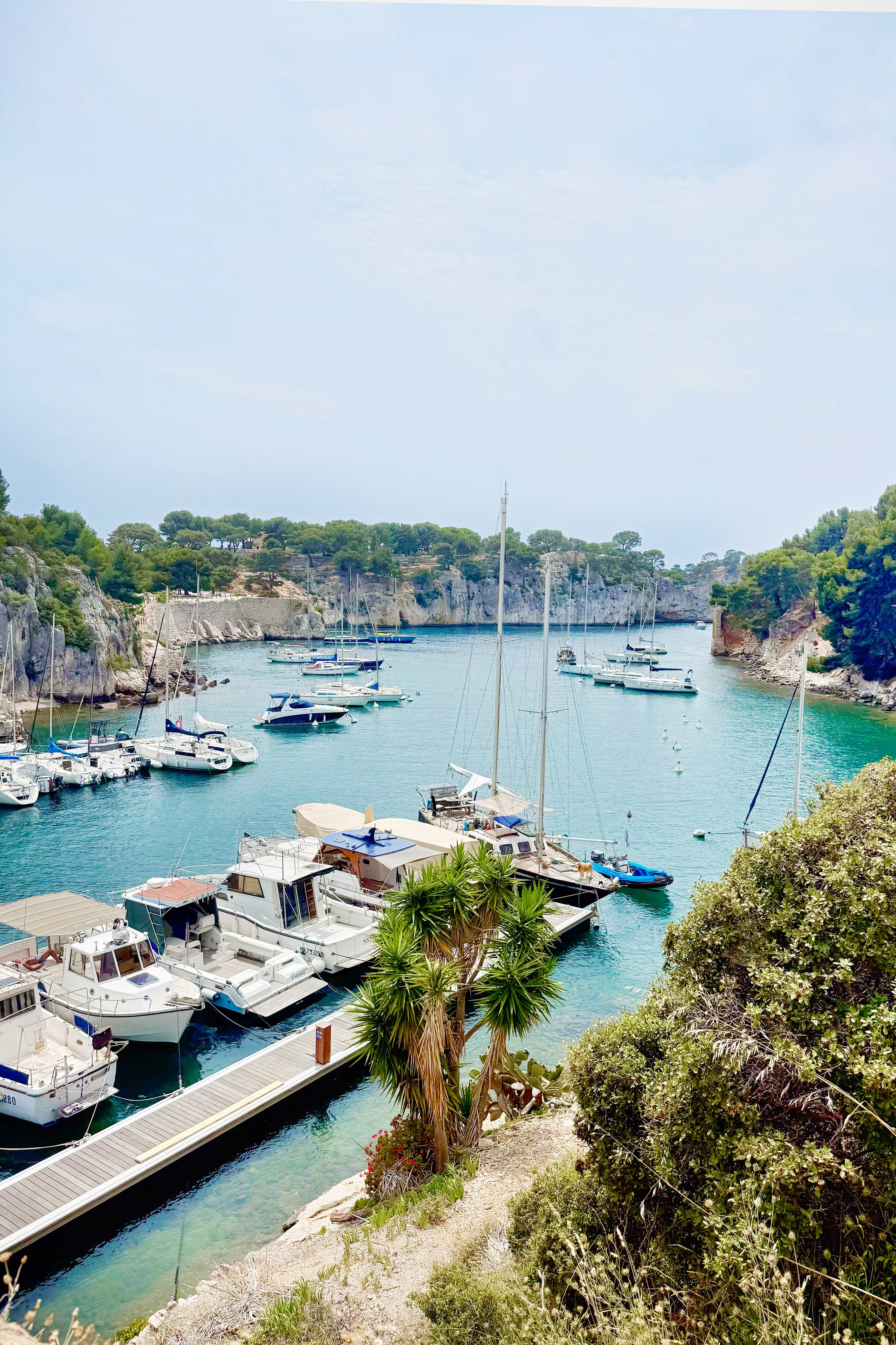cassis calanques 2
