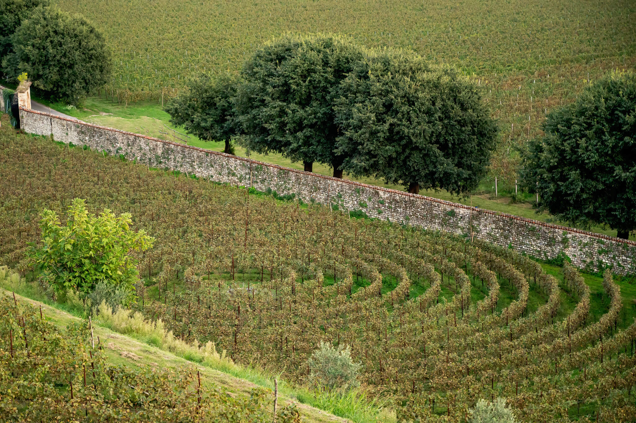 Franciacorta  Wine at Castello di Bornato