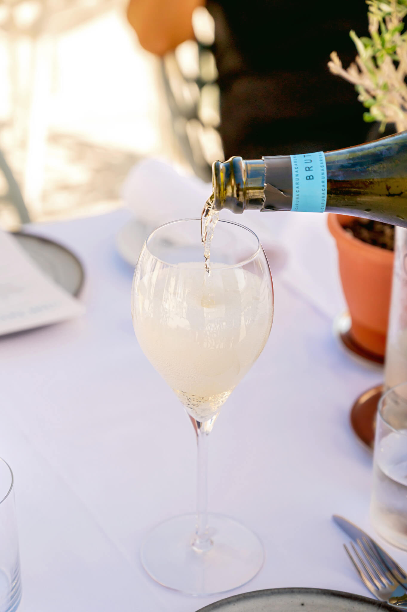 Franciacorta Wine on Lake Iseo Italy