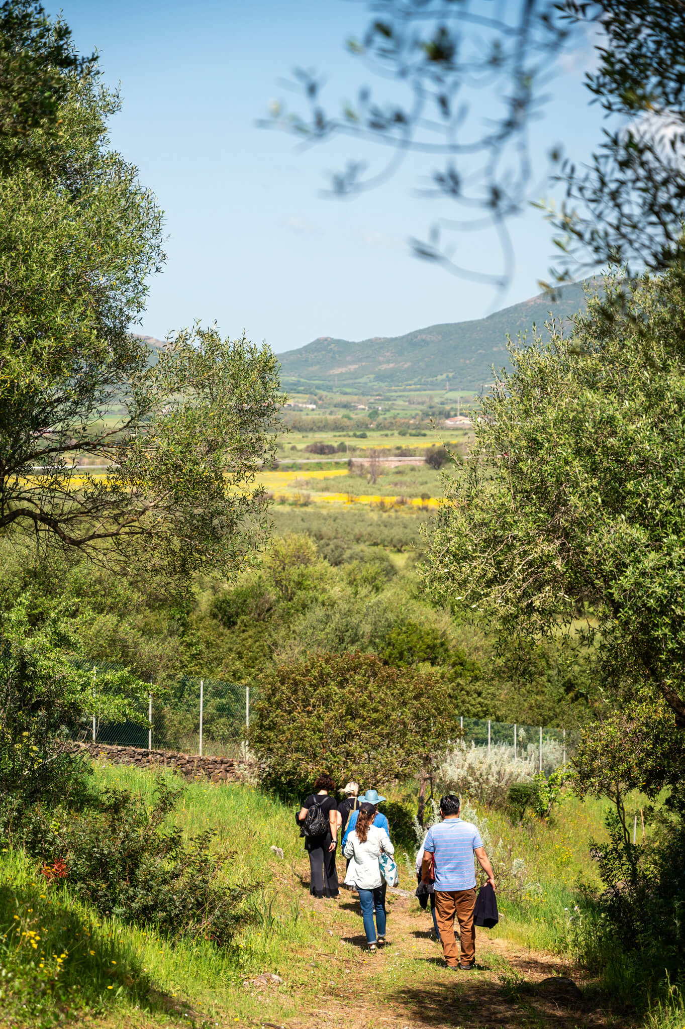 Pani Loriga Sardinia